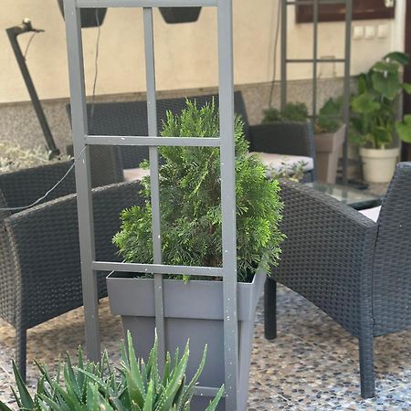 Lilyy Apartment Leskovac  Exterior photo