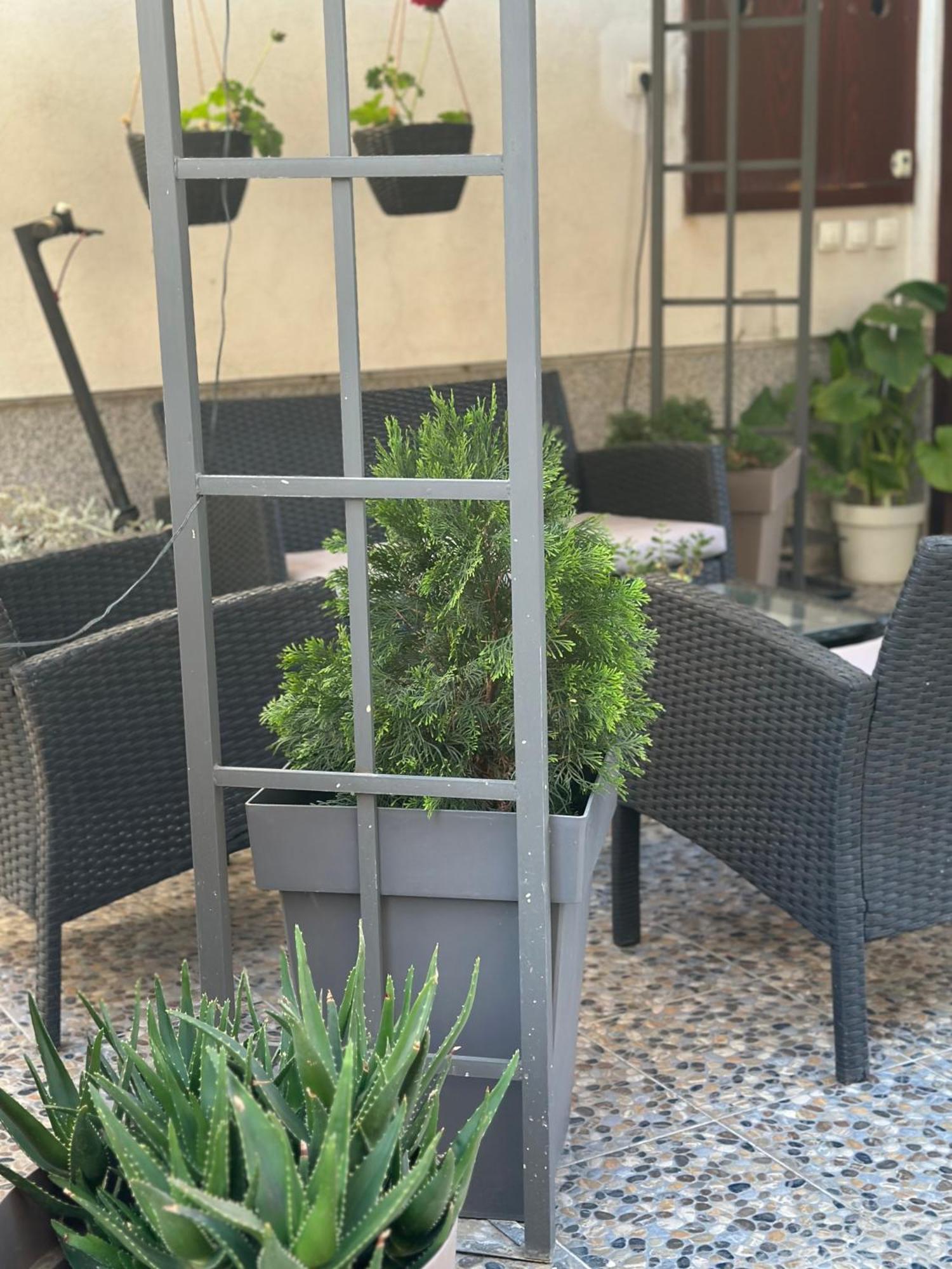 Lilyy Apartment Leskovac  Exterior photo